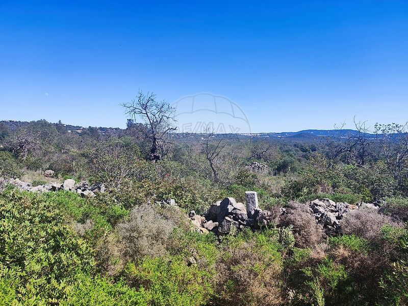 Land São Sebastião Loulé