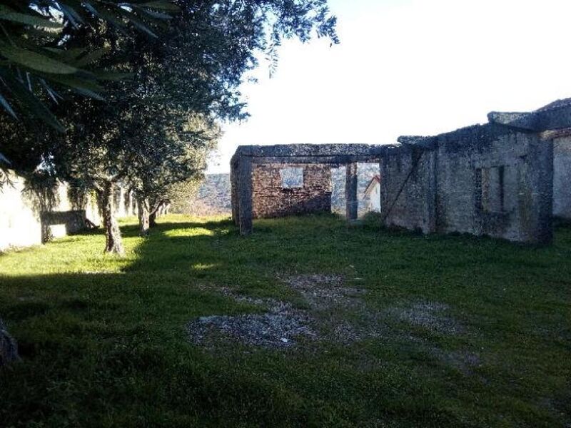 Land with 1423sqm Celorico da Beira