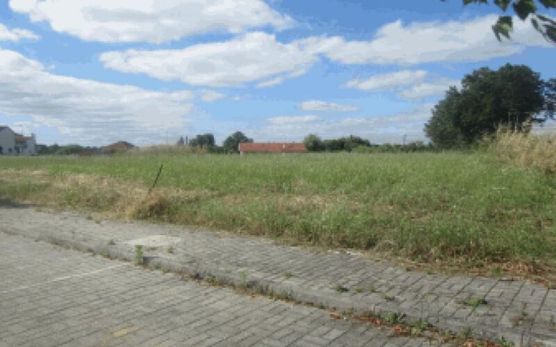 Lote de terreno Urbano Coimbra