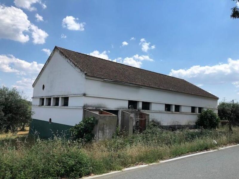 Warehouse with 375sqm Alfândega da Fé