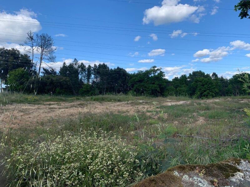 Terreno com 30000m2 Rio de Loba Viseu - painéis solares