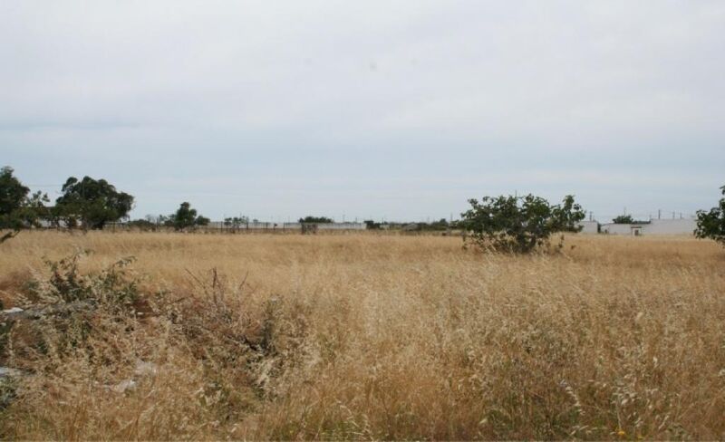 Terreno Agrícola com 6694m2 Montijo - água, electricidade