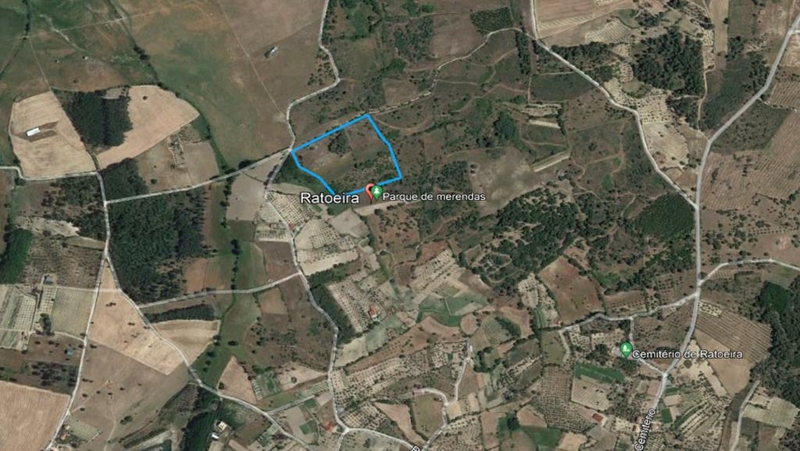 Land with 20721sqm Ratoeira Celorico da Beira