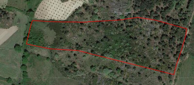 Venda Terreno com 13900m2 Alverca da Beira Pinhel