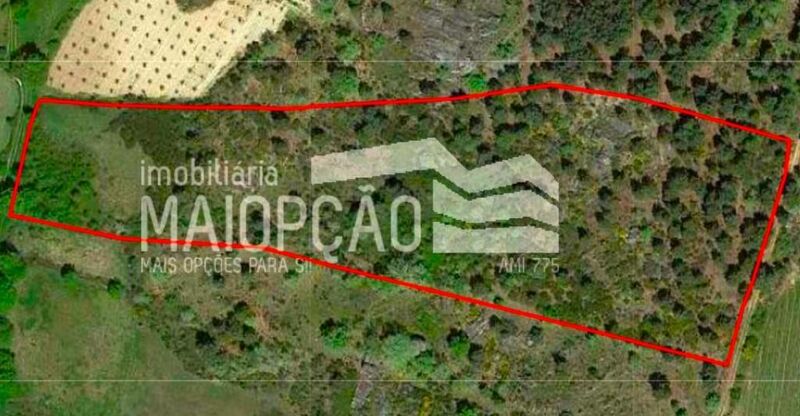 Terreno Rústico com 13900m2 Alverca da Beira Pinhel