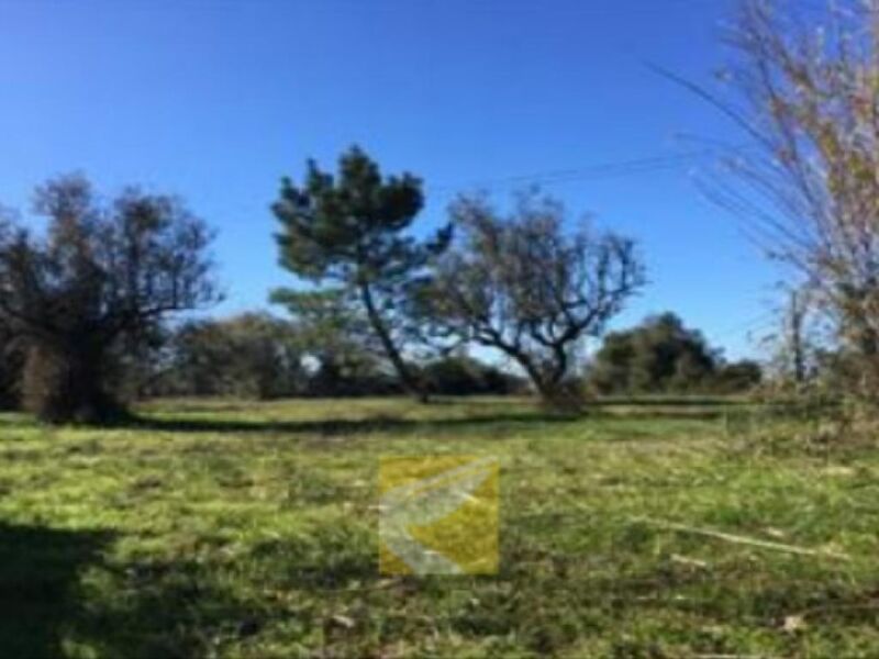 Land with 1145000sqm Cantanhede