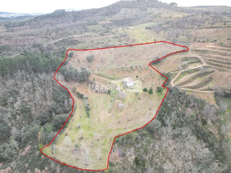Land Agricultural with 19998sqm Rabal Bragança - water, olive trees