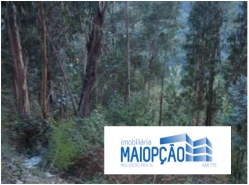 Plot with 33000sqm Marco de Canaveses