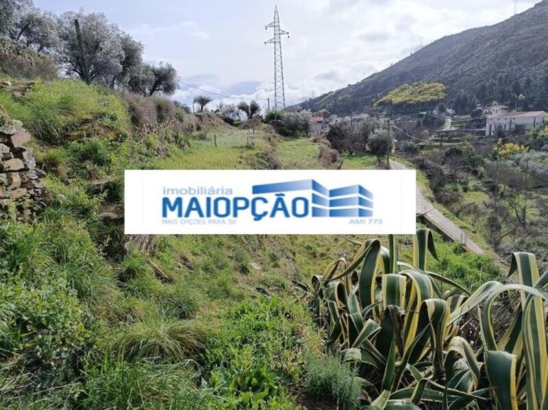 Terreno Tabuaço