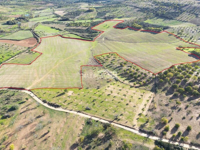 Terreno Agrícola com 120000m2 Bragança - excelentes acessos