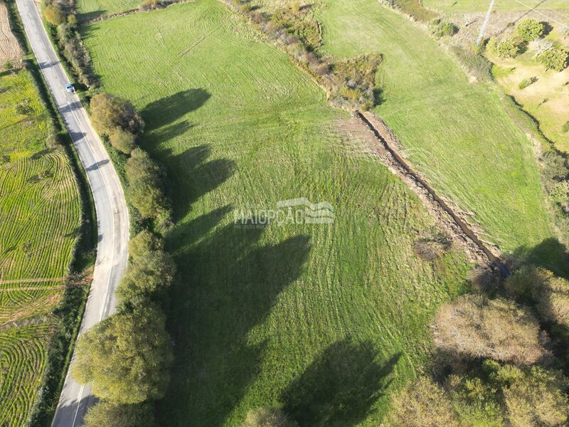Terreno Agrícola com 20000m2 Bragança - excelentes acessos