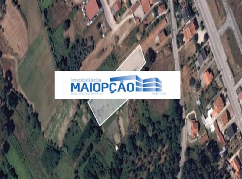 Terreno Campo de Besteiros Tondela