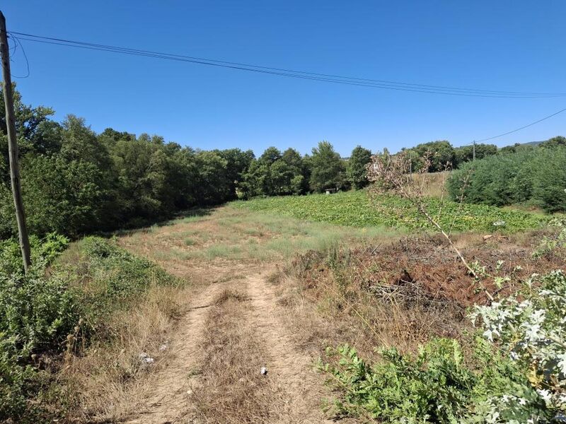 Land for construction Terras de Massueime Pinhel