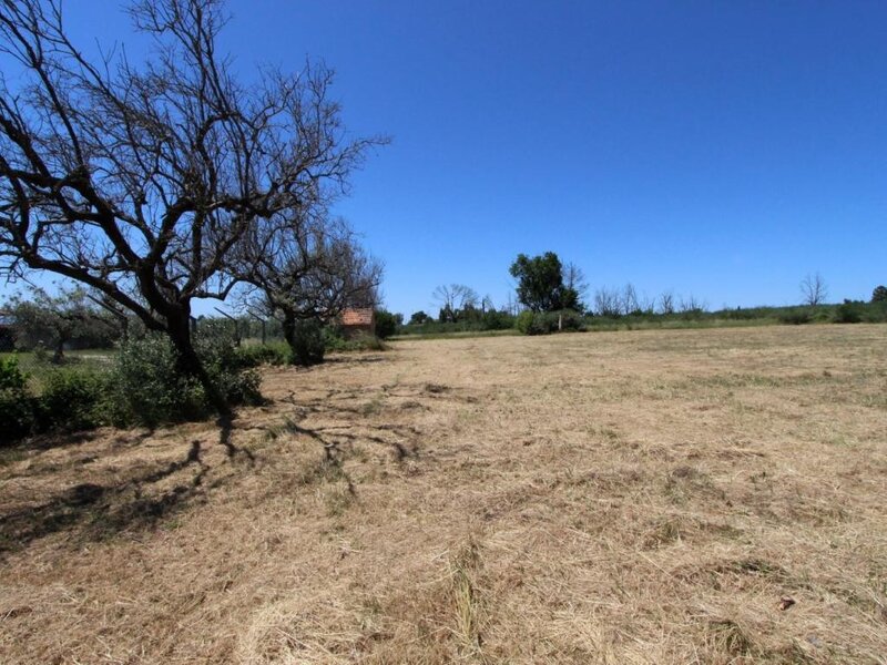 Terreno Urbano with 15100sqm Seia