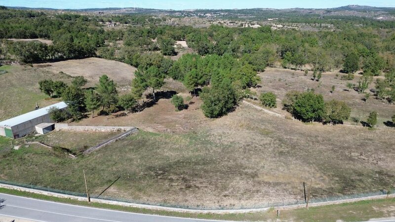 Terreno Rústico para construcción Casal de Cinza Guarda
