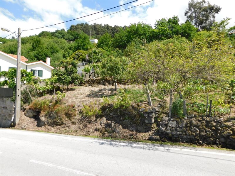 Terreno com 330m2 São Romão Seia - electricidade, árvores de fruto, oliveiras