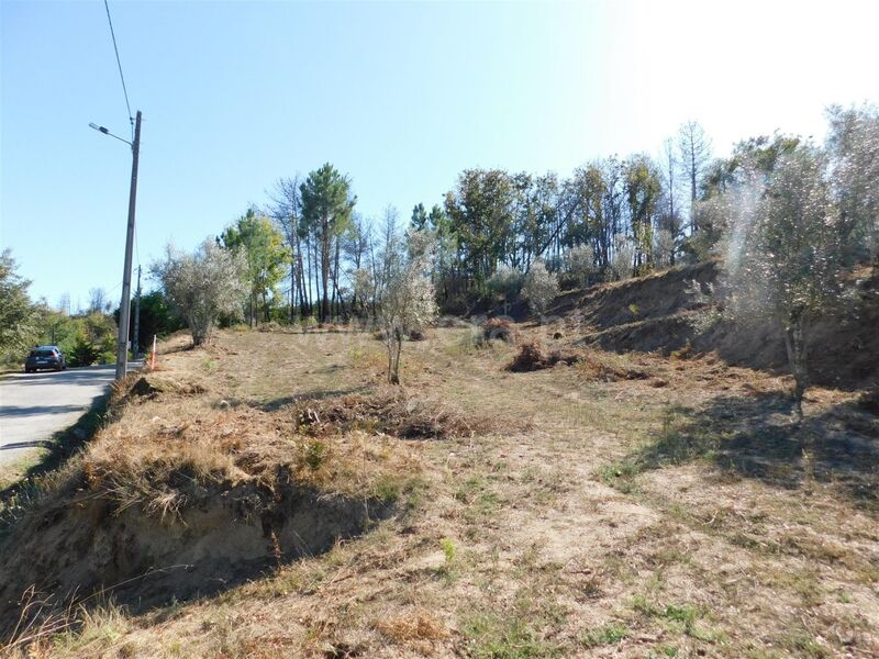 Terreno com 1430m2 Várzea de Meruge Seia - viabilidade de construção, electricidade