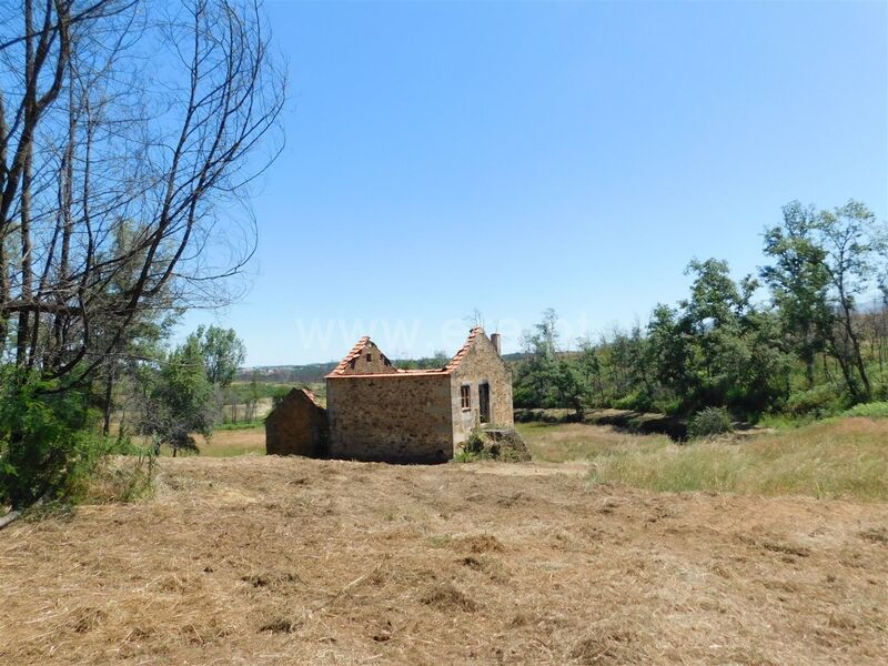 Quinta com ruína Santiago Seia para comprar - água, electricidade, poço