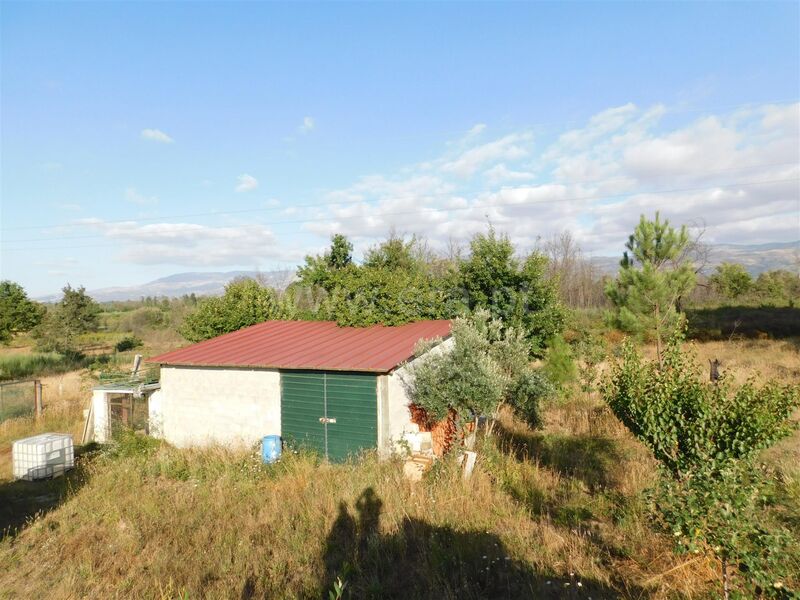 Terreno Agrícola com 13532m2 Santa Comba Seia - barracão