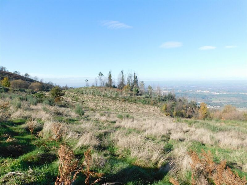 Terreno com 39299m2 Seia - água