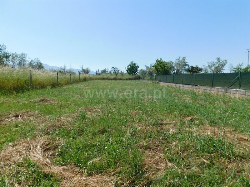 Land with 486sqm Seia - construction viability, electricity