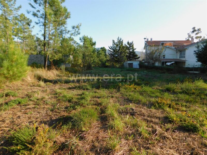 Terreno com 3120m2 São Romão Seia - electricidade, viabilidade de construção, furo, água da rede