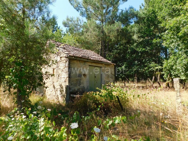 Land with 7560sqm Pinhanços Seia - water, well, easy access