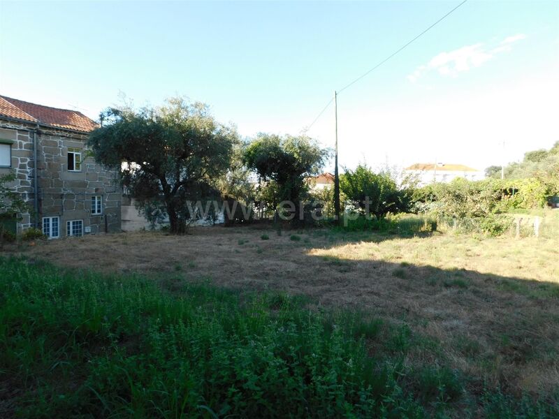 Terreno Rústico com 910m2 Seia - oliveiras, água, árvores de fruto