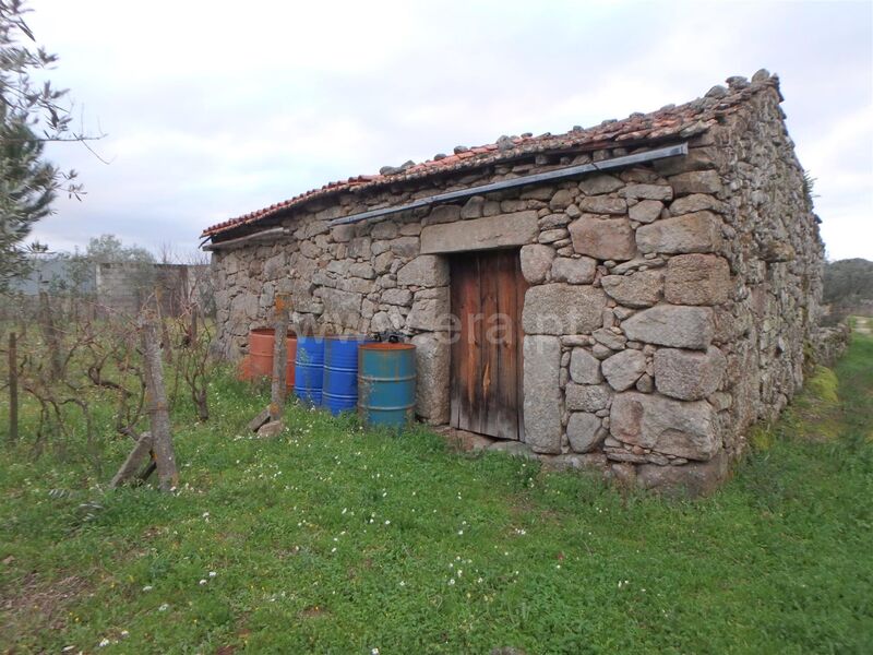 Farm 0 bedrooms Seia - olive trees, fruit trees, well