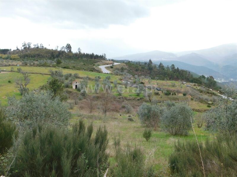 Land with 3900sqm Torrozelo Seia - easy access