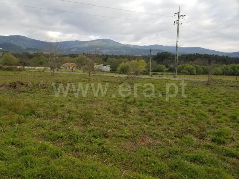 Land Agricultural with 930sqm São Romão Seia - easy access