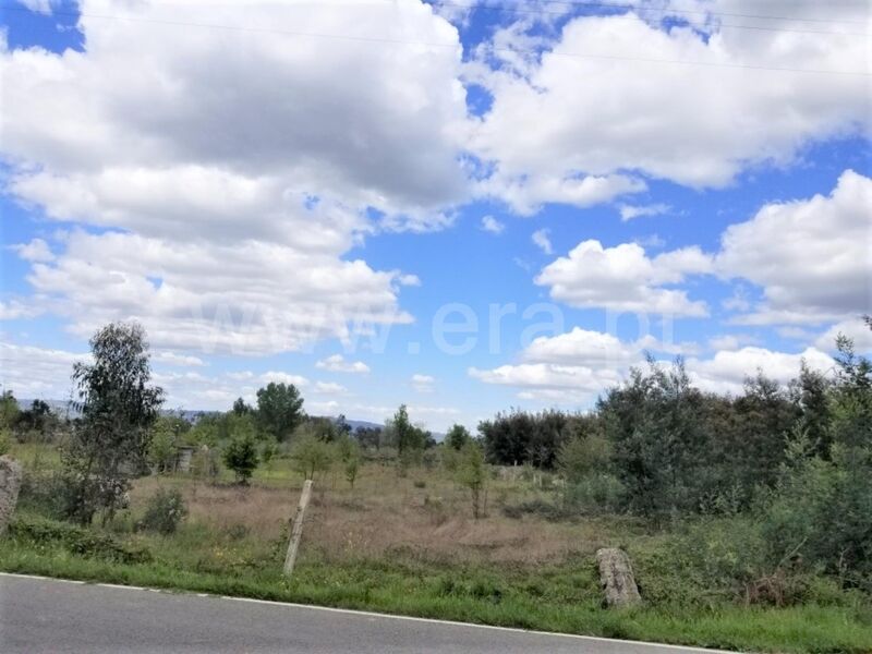 Land with 9968sqm Gouveia - ,