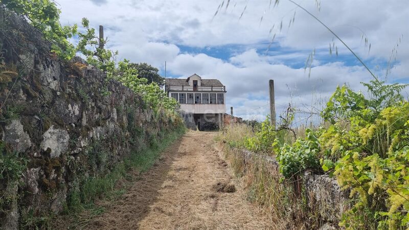 Quinta Paranhos Seia - tanque, poço, árvores de fruto