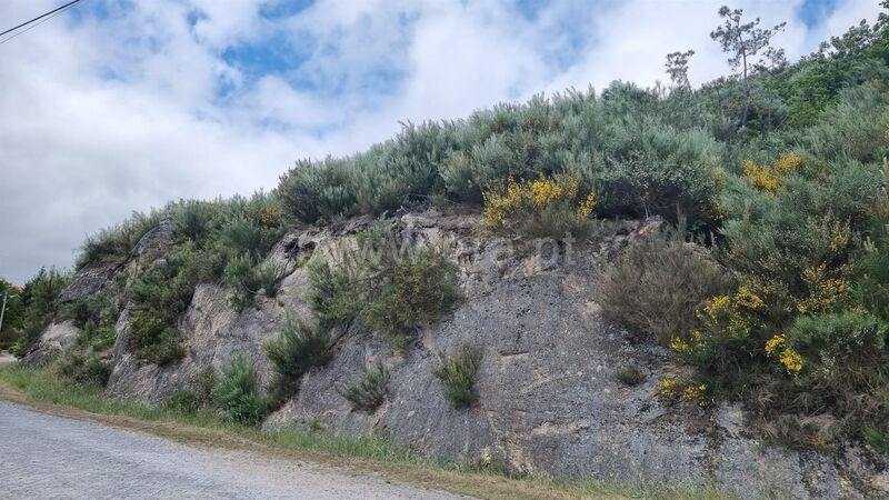 Terreno com 40000m2 Valezim Seia - bons acessos