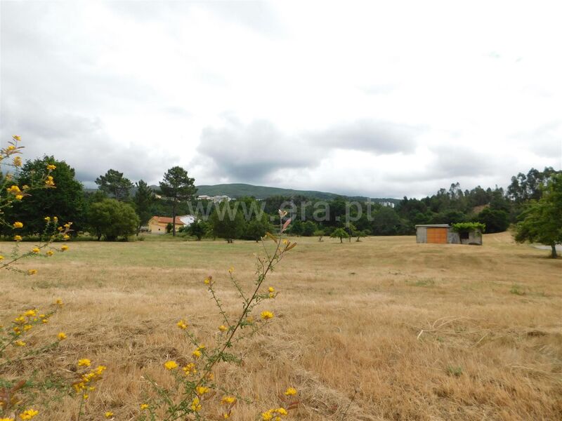 Land with 11900sqm Seia