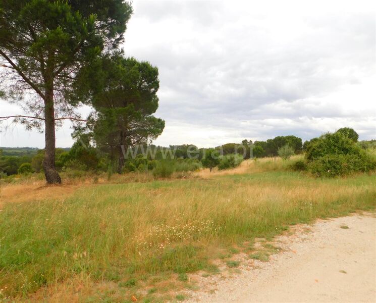 Land with 1343sqm Seia