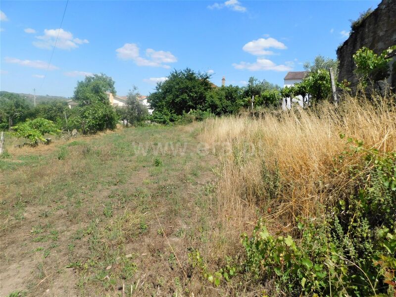 Terreno com 900m2 Cativelos Gouveia - água, regadio, oliveiras, bons acessos