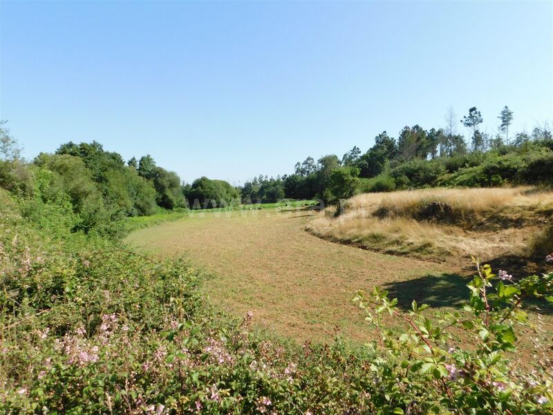 Terreno com 26977m2 Santiago Seia - oliveiras, árvores de fruto