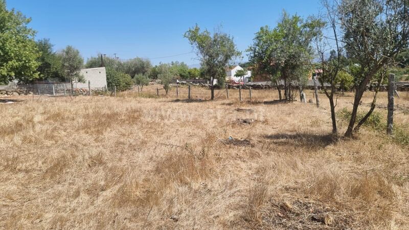 Land with 3830sqm Paranhos Seia - well, easy access, construction viability