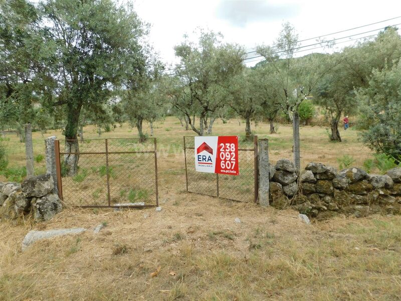 Quintinha V0 Seia - poço, bons acessos, árvores de fruto, oliveiras