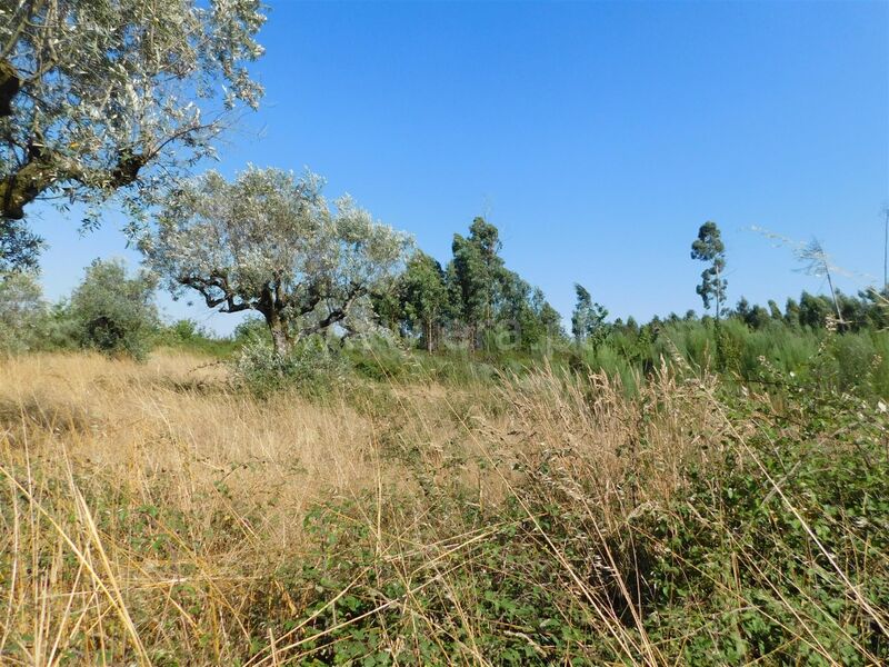 Land with 2250sqm Seia - great location