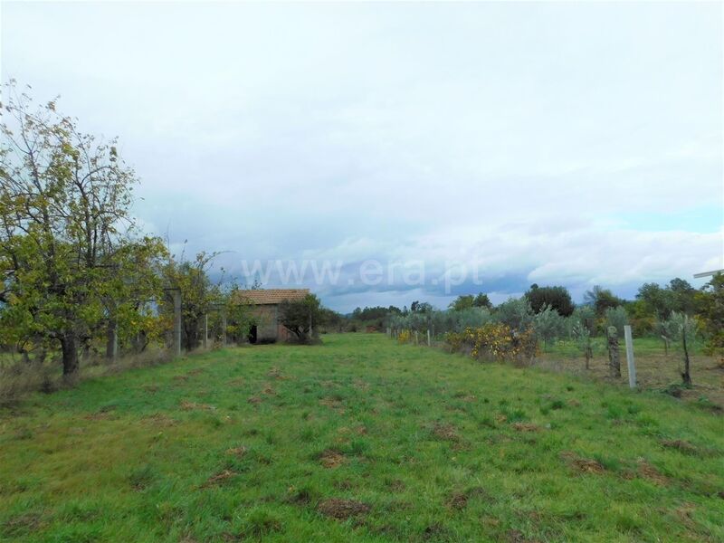 Terreno Agrícola com 4958m2 Santa Comba Seia - poço