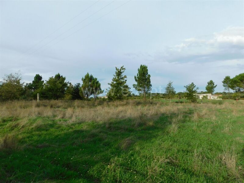 Land with 6300sqm Seia - well
