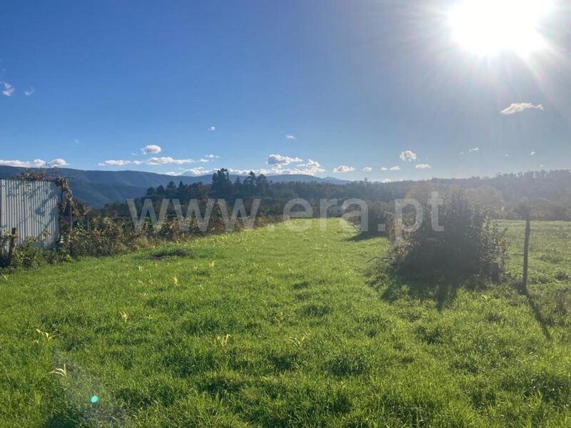 Terreno Agrícola com 1352m2 Seia