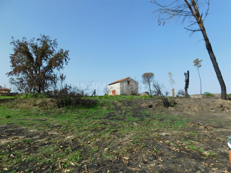 Venda Quinta Travancinha Seia - bons acessos, poço