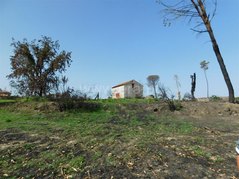 Quinta Travancinha Seia - bons acessos, poço