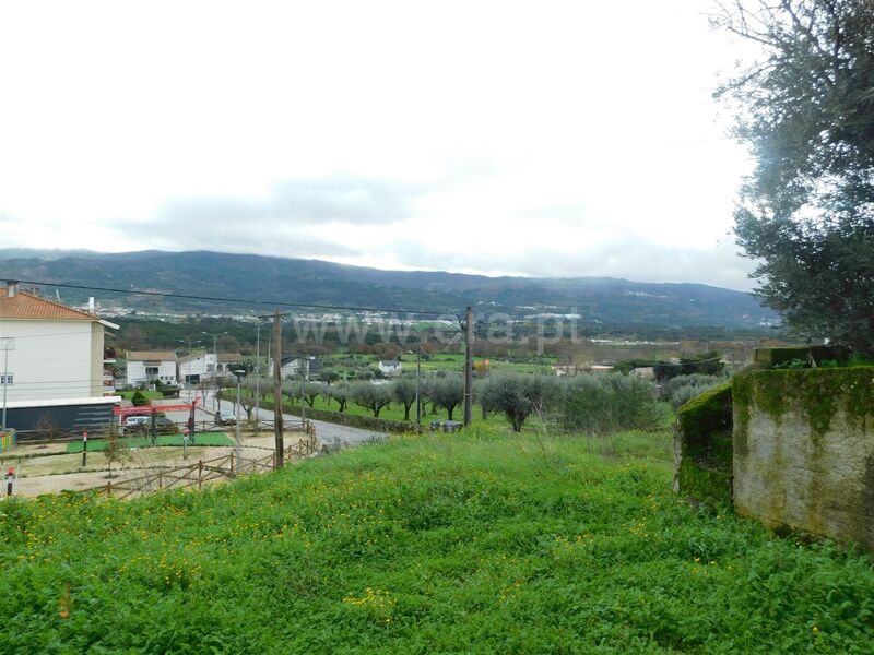 Terreno Agrícola com 1900m2 Pinhanços Seia - árvores de fruto