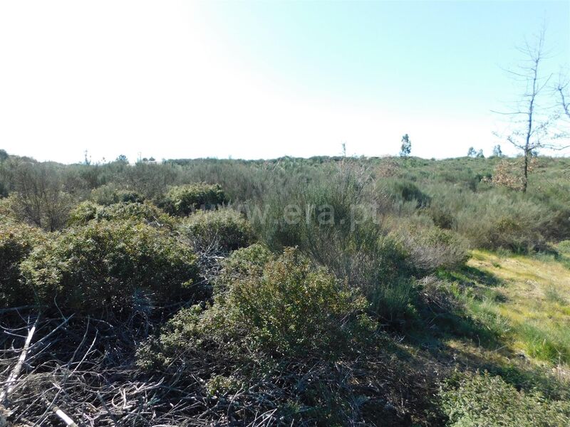 Land with 5860sqm Meruge Oliveira do Hospital - easy access