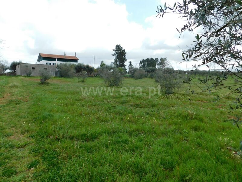 Land with 4986sqm Seia - ,