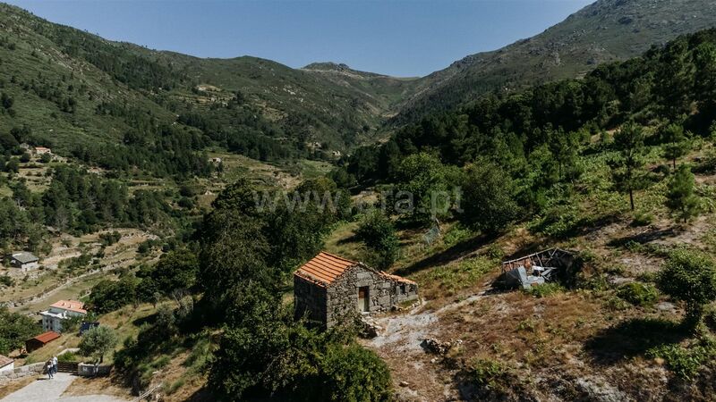 Land with 13500sqm Loriga Seia - water, fruit trees, construction viability, electricity